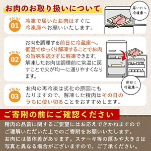 鹿児島県産A5等級黒毛和牛粗挽きひき肉（ミンチ）(計3.2kg) 黒毛和牛 冷凍 牛肉【KNOT】 A715