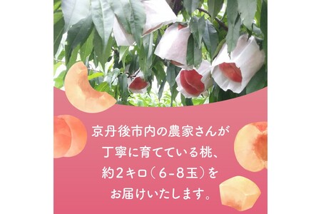桃／フルーツ【先行予約／数量限定100】京都丹後産 桃 約2kg（6～8玉）（2025年7月中旬～発送）＜旬のおすすめ品種をお届け＞旬の桃・桃ギフト・もも・モモ・果物