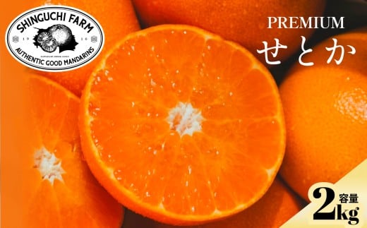 ＜数量限定＞老舗農家が見極めたプレミアム＜せとか2kg＞柑橘の大トロ＜C70-96＞【1671344】