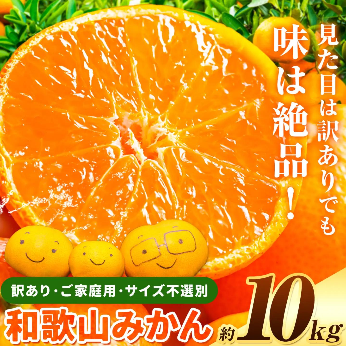 みかん 訳あり 和歌山みかん 約10kg
