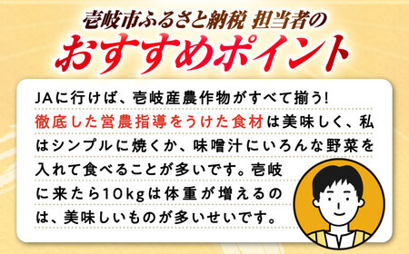 【全6回定期便】旬の野菜セット 7品 [JBO045] 野菜 やさい 旬 セット 詰め合わせ   60000 60000円 6万円