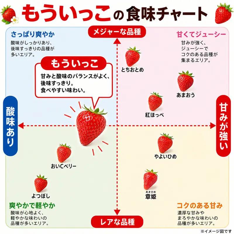 いちご イチゴ 苺 先行予約 12月発送 家庭用 もういっこ 宮城県亘理町産 500g 250g×2パック 小分け 冷蔵配送 国産 フルーツ 返礼品