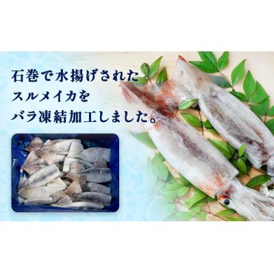 ふるさと納税 石巻市 石巻市産スルメイカツボ抜き1kg 冷凍 国産 スルメイカ いか イカ 魚介類 焼イカ バーベキュー |  | 01