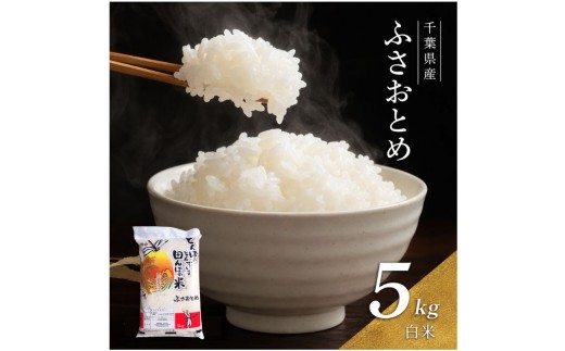 【令和8年産】 ふさおとめ　白米　5kg 【 お米 精米 大粒 粘り気 ファン 】 千葉県 [№5346-0316]