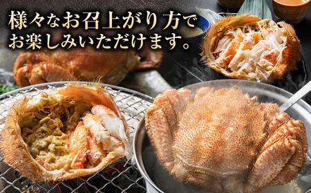 先行予約【厳選三特品】北海道産近海毛ガニ650g前後×2尾 2025年9月上旬発送開始予定【 毛がに 北海道 かに 蟹 かにみそ 小分け 毛蟹 八雲 海産物 魚介類 水産物応援 水産物支援   】