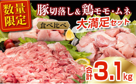 数量限定 豚肉 切り落とし 鶏肉 モモ ムネ セット 合計3.1kg 国産 食品 ポーク チキン おかず 人気 大容量 万能食材 焼肉 から揚げ 炒め物 お弁当 おつまみ 詰め合わせ 食べ比べ 小分け 便利 おすすめ グルメ お取り寄せ おすそ分け 宮崎県 日南市 送料無料_BB96-23