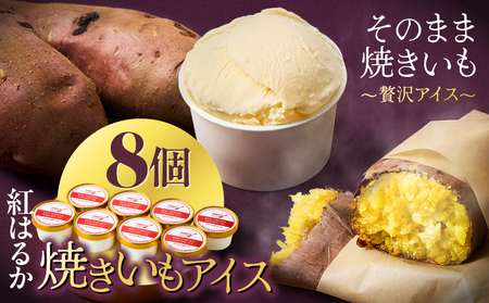 紅はるか 焼きいも アイス（ 8個入り ） KN046-010 国産 焼き芋 スイーツ マーケティングビー ふるさと納税 鹿児島 鹿屋市 おすすめ ランキング プレゼント ギフト