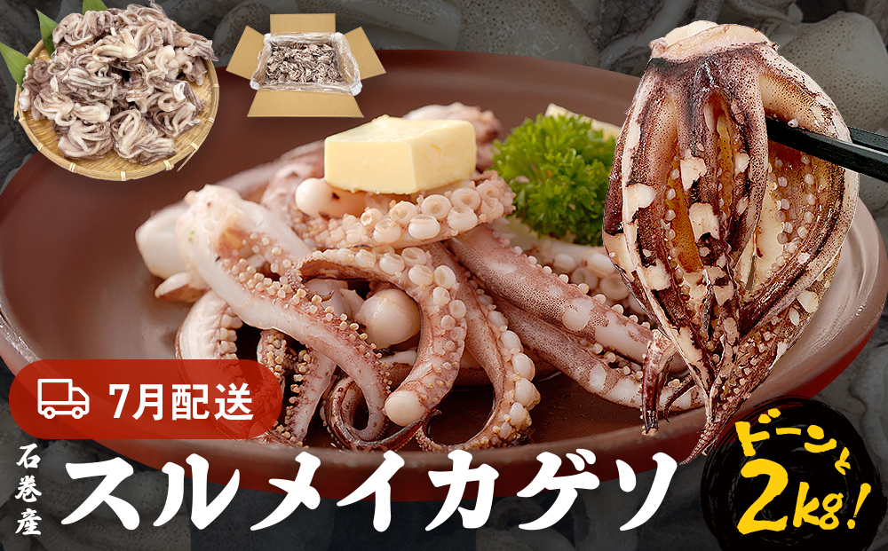 訳あり 石巻産スルメイカゲソ 2kg 7月配送 冷凍 国産 いか 下