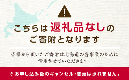 【ふるさと寄附金】北海道庁 100,000円 返礼品なしのご寄附 応援 エール 寄附のみ 返礼品なし 返礼品なしの寄附  F6S-683