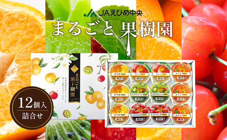 カップゼリーまるごと果樹園詰め合わせ5種12個セット（伊予柑、みかん、りんご、キウイフルーツ、さくらんぼ）No.12 国産 愛媛県 ギフト 