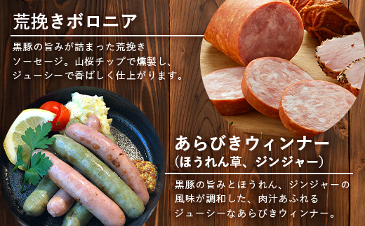鹿児島県産 BBQ-BOX Ⅱ ハム ソーセージ ベーコン 詰め合わせ セット NS-25 | かごしま 黒豚 生ハム ボロニア ウインナー ソース ジャーキー おつまみ バーベキュー 焼き肉 低添加