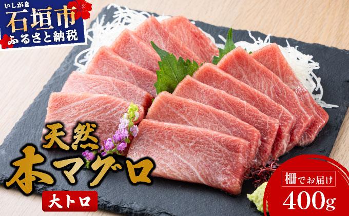 【数量限定】石垣島産 天然本マグロ 大トロ 約400g ヤエスイ マグロ船直送 ＜2025年6月下旬より発送＞ | 産地直送 大トロ 大とろ 国産 まぐろ 鮪 天然 赤身 魚 お刺身 本まぐろ マグロ 沖縄県 沖縄 琉球 八重山 八重山諸島 石垣島 石垣 石垣島産