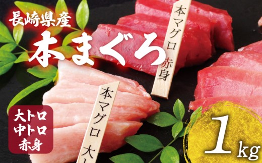 長崎県産 本マグロ 大トロ 中トロ 赤身 セット 1kg 以上 産地直送 新鮮 刺身 柵 冷凍 真空パック 小分け タレ付き 刺身 本鮪 マグロ まぐろ 鮪 トロ 魚貝 鮮魚 海鮮丼 本家永松家 長崎県 佐世保市