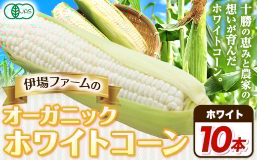 オーガニック ホワイトコーン 10本 伊場ファーム 北海道十勝浦幌町産 朝もぎたて とうもろこし 旬の時期にお届け 朝採り【2025年8月下旬-9月中旬より順次出荷】