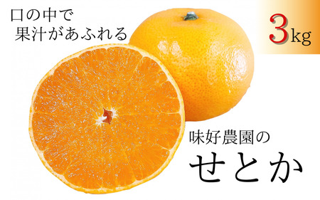 【先行予約・数量限定】地元で大人気の 秀品  せとか  3kg 【M～2Lサイズ混合】【2025年3月中旬から3月下旬頃に順次発送】〈味好農園〉甘～いせとか ジューシーな果汁たっぷりせとか 大玉せとか 完熟せとか 冷凍せとか  旬のせとか 太陽のせとか 香り豊かなせとか 水分たっぷりせとか 色鮮やかせとか 手軽なせとか 朝食せとか せとかゼリー せとかジュース せとかスムージー せとかシャーベット お菓子用せとか せとかビタミン せとか農園 せとかの大福 デザートにぴったりせとか 春の訪れせとか 甘いせとか