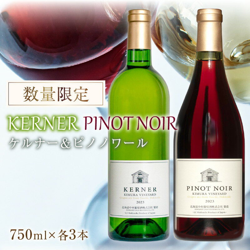 【ふるさと納税】【数量限定】ケルナー 2023年 ＆ ピノノワール 2023年 合計6本 750ml × 各3本 セット ギフト 赤ワイン 白ワイン 辛口 ミディアムボディ 千歳ワイナリー 北海道産 北海道 余市町 送料無料