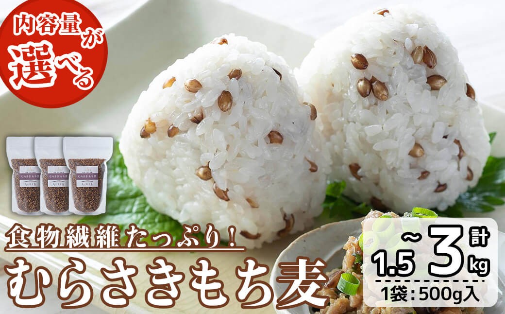 
                  ＜内容量が選べる＞ むらさきもち麦 (計1.5kg or 計3kg・1袋500g入) 常温 もち麦 紫もち麦 食物繊維 大麦 小分け 国産 【opas002・opas001】【らいむ工房】
                