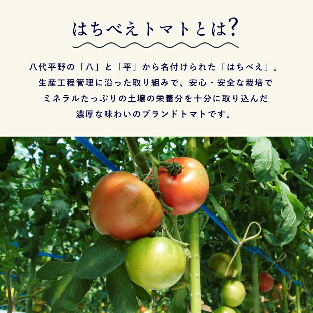 熊本県産はちべえトマトを使ったハッシュドビーフ 1袋(170g) 合計6食入り トマトピューレ トマト とまと 簡単 時短 洋食 惣菜 ギフト 冷凍 人気 ハッシュドビーフ ANA 八代市_イメージ5