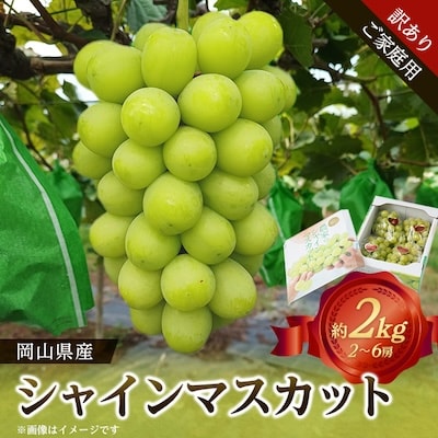 【訳あり】岡山県産シャインマスカット(ご家庭用)約2kg【配送不可地域：離島・北海道・沖縄県】