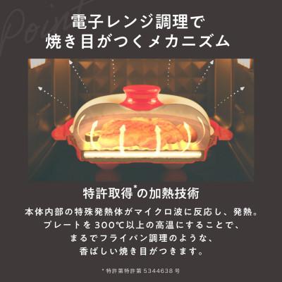 ふるさと納税 岡谷市 レンジメート プロ プラス グレージュ |  | 01