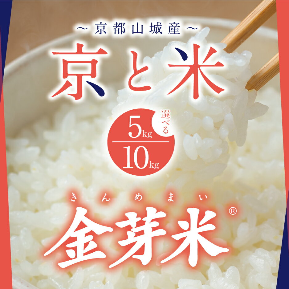 【ふるさと納税】BG無洗米 京都山城産 京と米 金芽米 選べる5kg 10kg R7年度産 ヒノヒカリ お米 米 ごはん おにぎり おいしい お弁当 健康 玄米の栄養 無洗米 節水 時短 東洋ライス 京都府 京田辺市　お届け：2026年6月上旬以降に発送いたします。