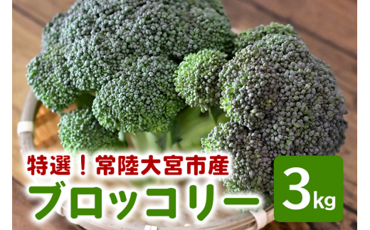 ＜先行予約受付中！2026年11月上旬以降順次発送予定＞ 特選ブロッコリー 3kg  野菜 ブロッコリー 国産 サラダ ダイエット お弁当にも 新鮮 旬 季節野菜 産地直送 【小野瀬農園】【ho1417】