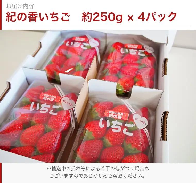 【来シーズン先行予約】紀州和歌山ブランドいちご「紀の香」約250g×4P※2027年1月～2027年3月頃順次発送（お届け日指定不可）【uot868】