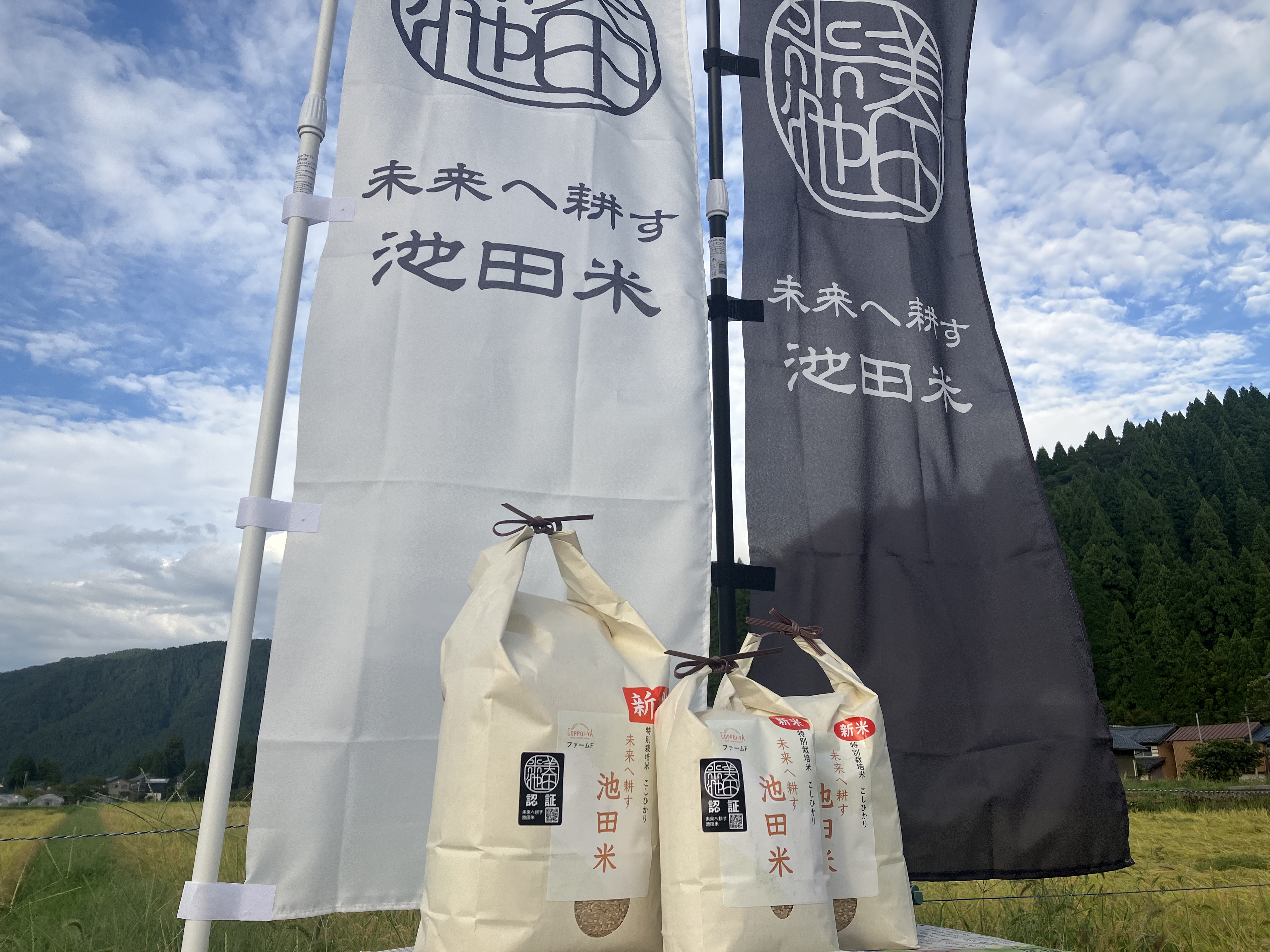 「未来へ耕す池田米」認証 池田町産コシヒカリ３kg【お1人様につき３セットまで】