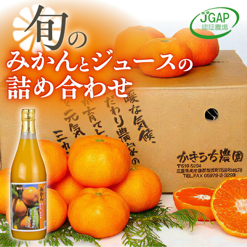 【ふるさと納税】かきうち農園 みかんとジュースの詰め合わせ【季節に応じたみかんと加工品のセット！】