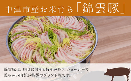 高級 ブランド 錦雲豚 たっぷり 3kg 詰め合わせ 6種 セット | お肉 肉 豚肉 豚 お米育ちの 錦雲豚 ブランド豚 しゃぶしゃぶ 生姜焼き 丼 バラ ロース モモ ミンチ うで 冷凍 大分県 