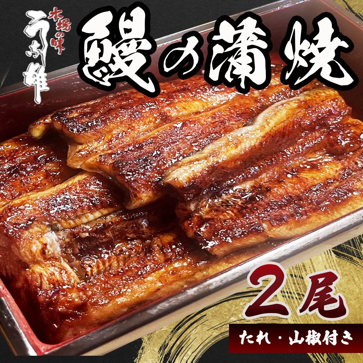 
                  【国産】国産 うなぎ 2尾 蒲焼 タレ 付き 山椒 付き ウナギ 鰻 蒲焼き 自家製 たれ うな雄の鰻蒲焼 土用 丑の日   祝い プレゼント 贈答 ギフト 父の日 母の日 贈り物 お歳暮 お中元 丑の日 土用丑の日 おすすめ うなぎ 鰻 ウナギ 国産 安心 新鮮 牧之原ウナギ 牧之原鰻 牧之原うなぎ 静岡鰻 静岡ウナギ 静岡うなぎ 高級 牧之原市 静岡県 うな雄
                