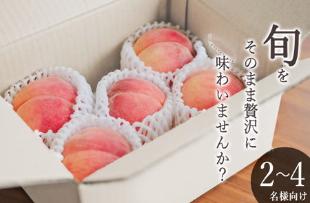 甲州市産 桃 約2kg（5～8個入）自然農法【2026年発送】（BNC）B-445 桃 フルーツ