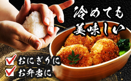 ＼2025年11月発送分／ あいちのかおり 白米 10kg 愛西市 / 脇野コンバイン 新米 お米 精米  [AECP002-2]