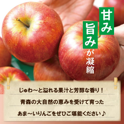 【青森市産】糖度13度以上!おもてなし用シナノスイート 約5kg【配送不可地域：離島・沖縄県】【1521227】