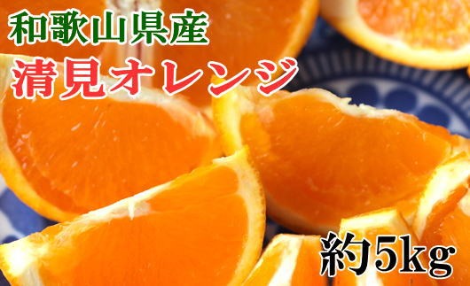 
            和歌山県産清見オレンジ約5kg（サイズ混合）※2026年3月中旬～2026年4月上旬頃に順次発送 / みかん 果物 柑橘 有田みかん ミカン オレンジ 和歌山【tecj1035】
          