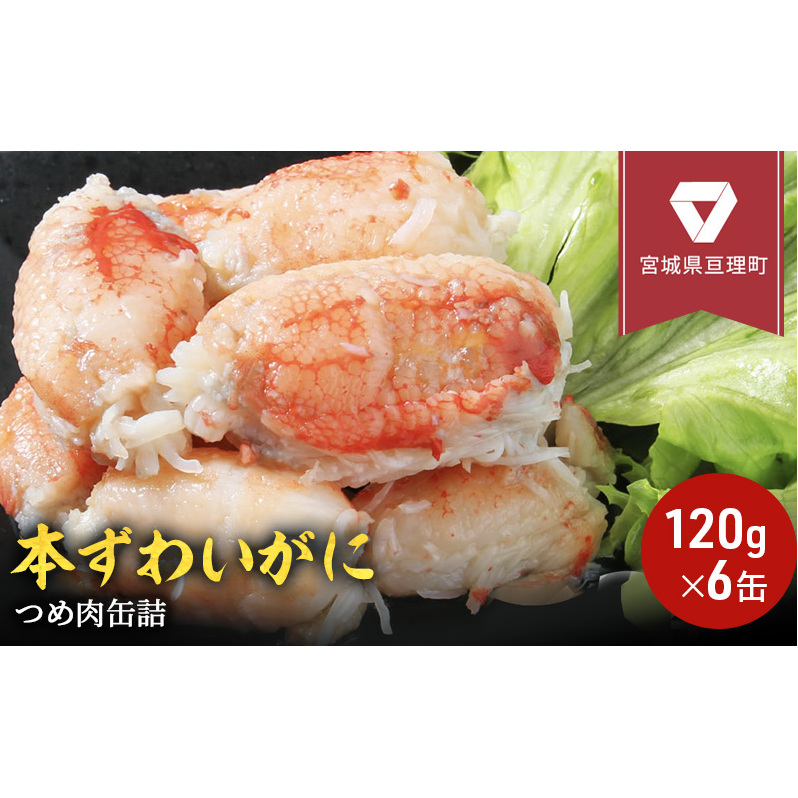 缶詰 かに 本ずわいがに つめ肉 120g × 6缶 セット
