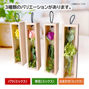 SL0285　水のいらない花 ゼロフラワー「花いちりん」 S×3セット　おまかせ(ミックス) 