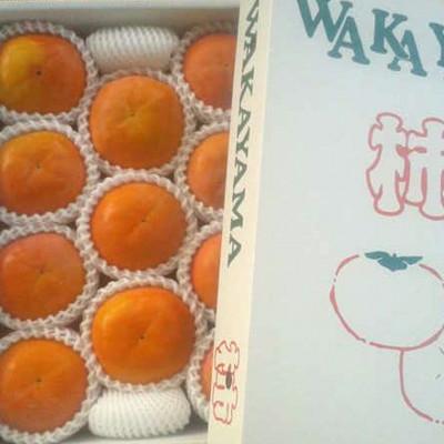 ふるさと納税 すさみ町 【厳選・産直】和歌山産富有柿約4kg 化粧箱入り(2L〜4Lサイズおまかせ)【すさみ町】 |  | 01