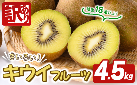 ＜先行予約受付中！2026年10月以降順次発送予定＞【訳あり】茨城県産 黄色いキウイ 4.5kg 訳あり 訳アリ キウイ キウイフルーツ 果物 フルーツ 青果物 【こばしファーム】【ho1550】
