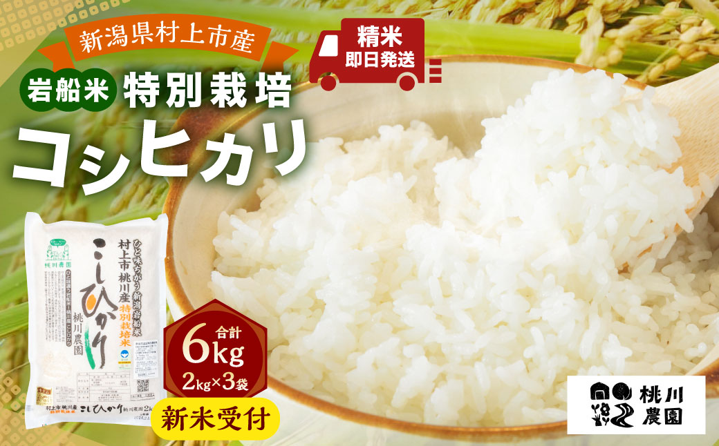 【新米受付・令和8年産米】 NA4209  新潟県村上市桃川産  特別栽培コシヒカリ6kg（2kg×3袋）