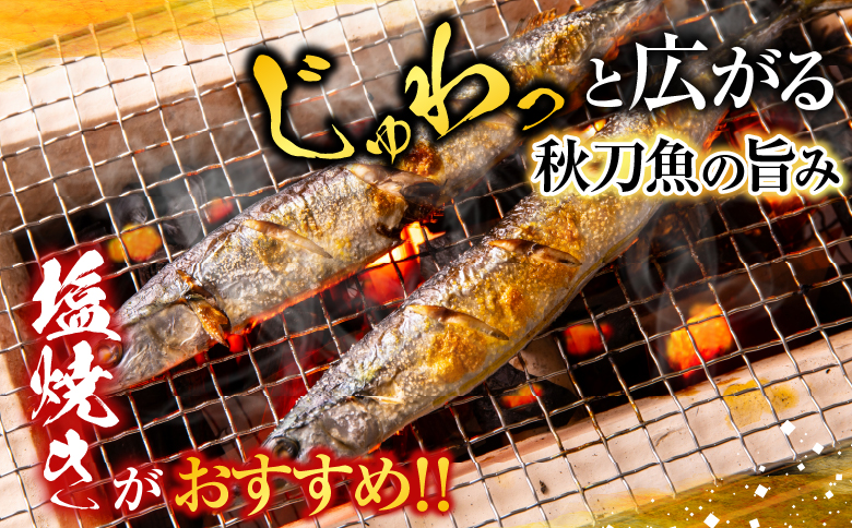 甘塩紅鮭5切×2P ・冷凍生さんま5尾入×2P A-70017