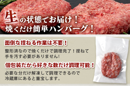 石垣島産 黒毛和牛 生ハンバーグ 120g x 6個 UN-1