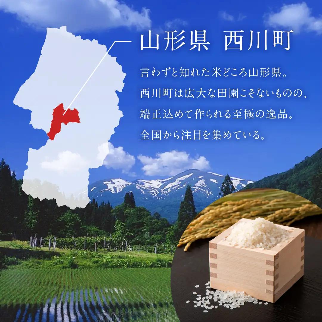 FYN1-446 【11月発送】令和7年度 山形県産 つや姫 はえぬき 20kg（各品種10kg） 白米 精米 ご飯 ごはん 国産 ブランド米 つやひめ 食品 山形県 西川町 月山 