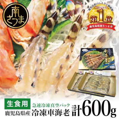 ふるさと納税 南さつま市 【鹿児島県産】活〆 冷凍車海老 計600g(生食)