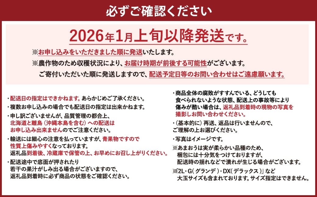 【予約受付】【2026年1月上旬～3月下旬発送予定】選べる大容量あまおう 1,400g／1,200g