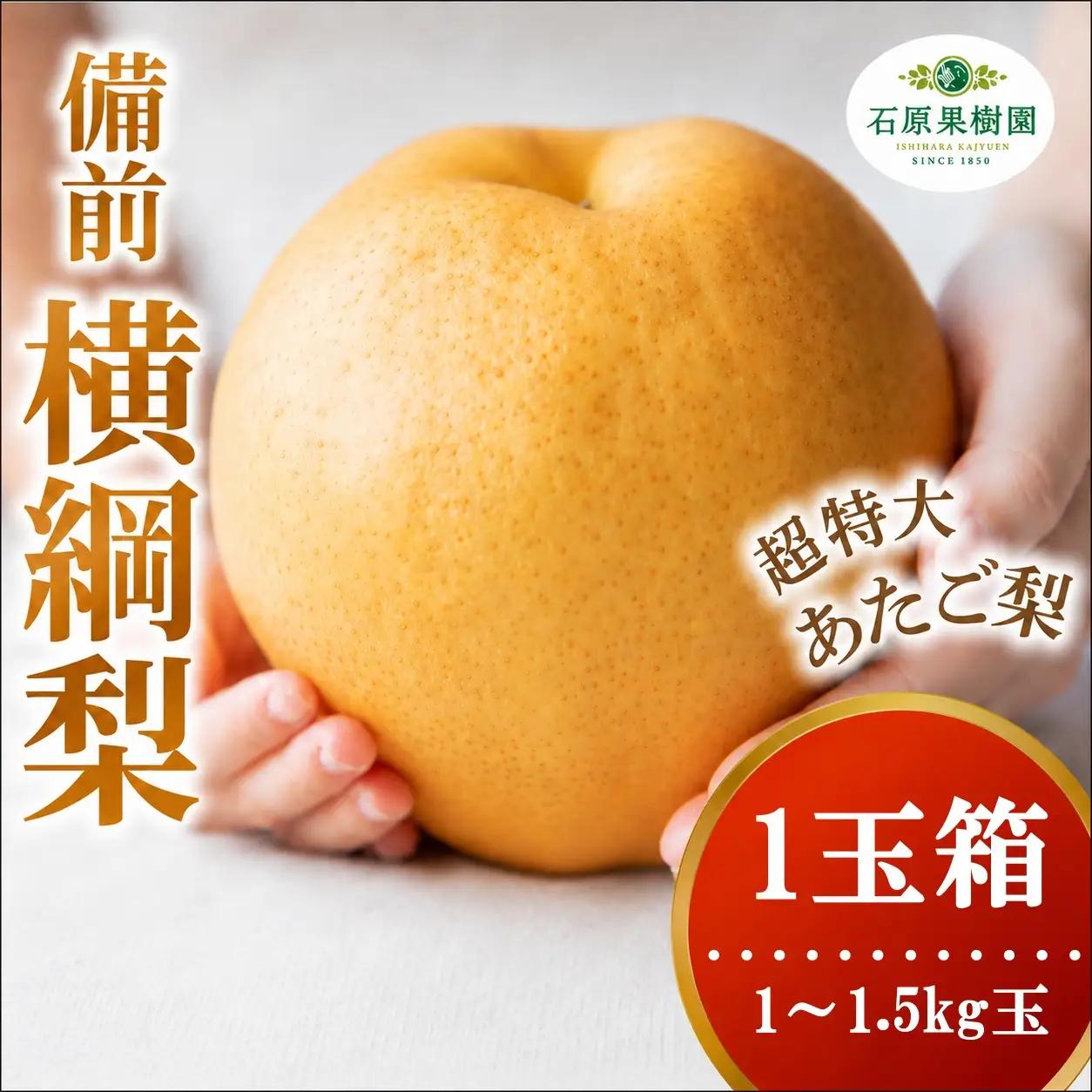 備前横綱梨 あたご梨 1玉箱 赤秀 1～1.5kg玉 岡山県産 愛宕梨【ishk027-01】