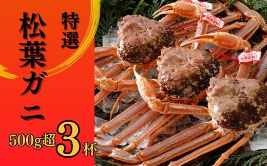 
            特撰 松葉がに 【タグ付き】 500g超 お手頃サイズ 3杯 活物 松葉ガニ カニ ズワイガニ カニ爪 冷蔵 かにしゃぶ カニ刺身
          