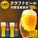 【ふるさと納税】宇都宮 クラフトビール 宇都宮産麦芽100%コンビ 10本セット(各330ml)【 ビール ギフト 飲み比べ 栃木県 宇都宮市 】※離島への配送不可