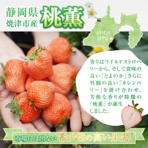 a10-586　いちご 「 桃薫 」～ 桃の香り ＆ 食感 ～4パック