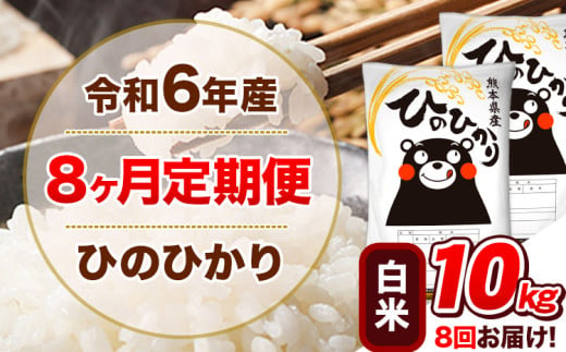 令和6年産【8ヵ月定期便】 白米 ひのひかり 定期便 10kg 5kg×2袋《お申込み翌月から出荷開始》 熊本県産 精米 ひの 米 こめ ヒノヒカリ コメ お米